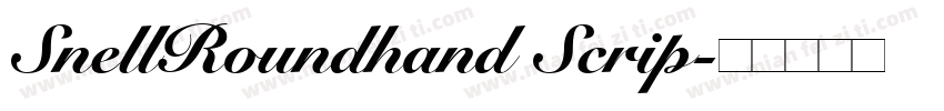SnellRoundhand Scrip字体转换